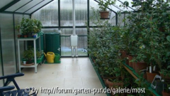Neues Gewächshaus 1 2012.jpg