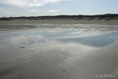 Belgien: Priel 04