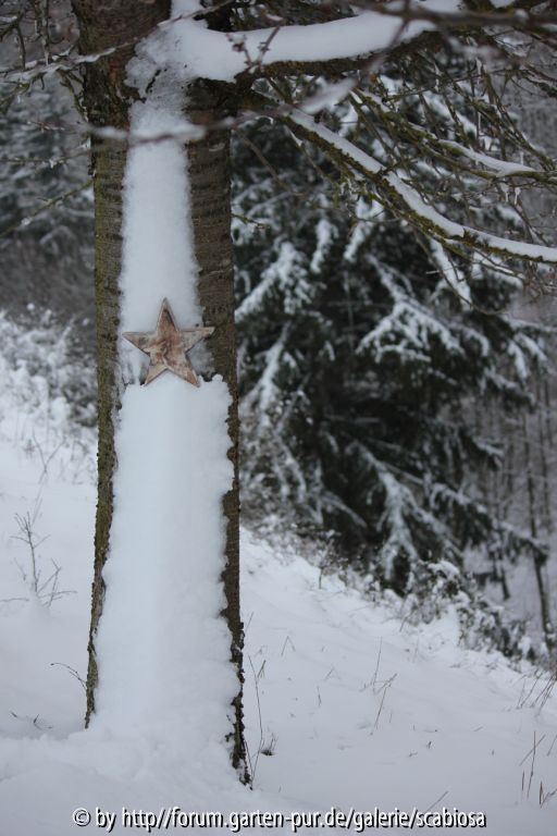 '