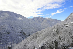 neuschnee dez12