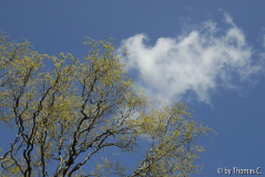 Wolken beinahe hängen geblieben