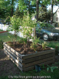 DSC01091.JPG