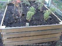 DSC00764.JPG