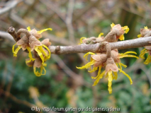 2013-01-06 No Name