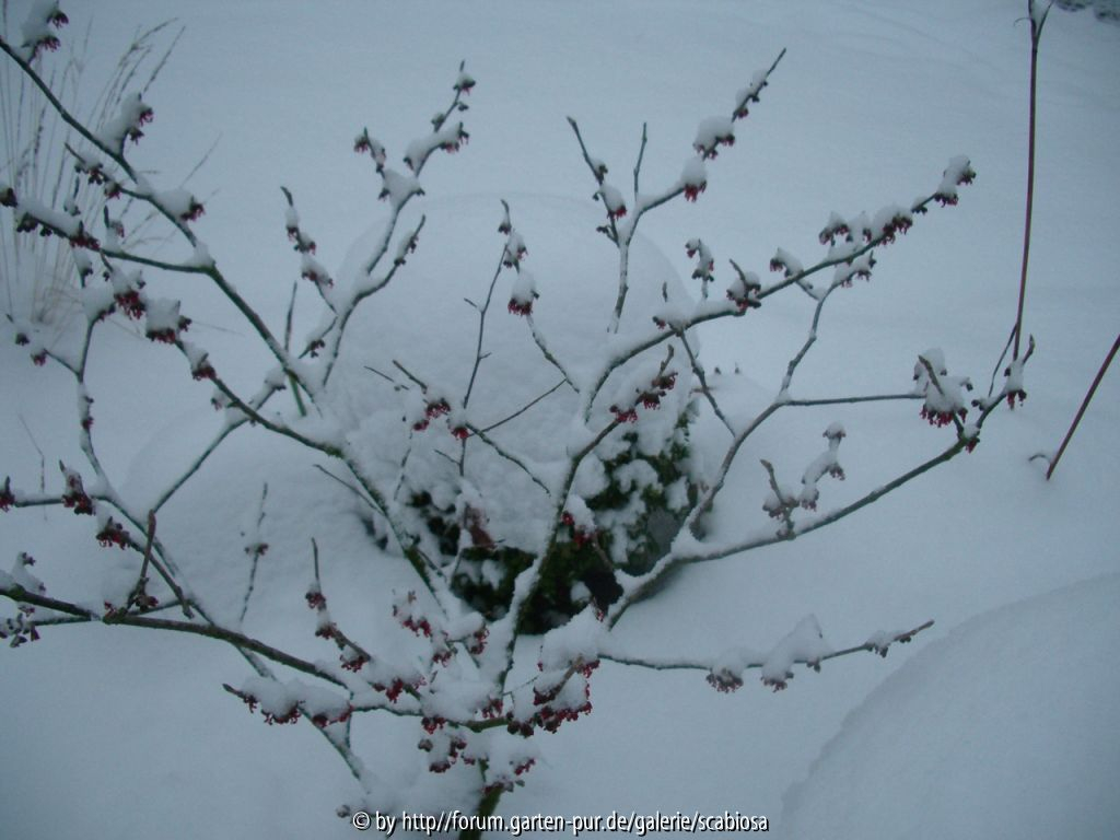 Januar 2013