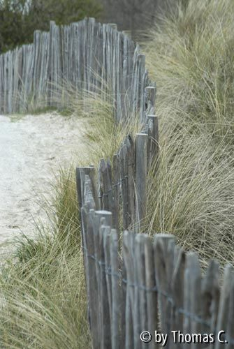 Belgien: Zaun in den Dünen