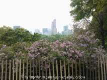 'German landscape' in NY