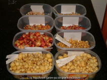 Oca-Vergleich-2