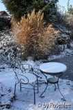 Schneesitzplatz am Teich