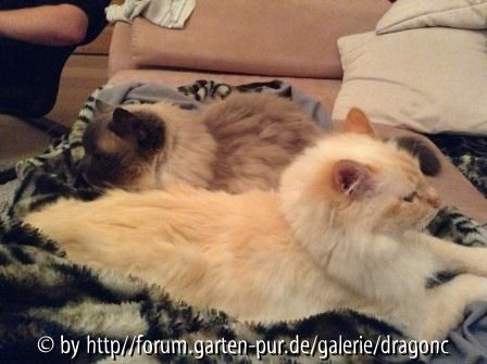Die Jungs 21-01-2013