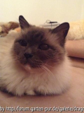 Cedric 21-01-2013