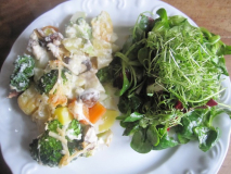 Gratin, Salat.jpg