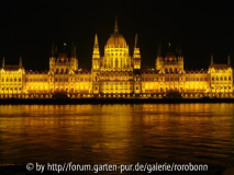 parlament nacht ohne lichtstreifen.jpg