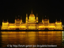 parlament nacht it lichtstreifen.jpg