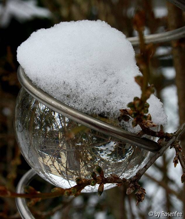 Schneekugel mit Frühlingserahnen