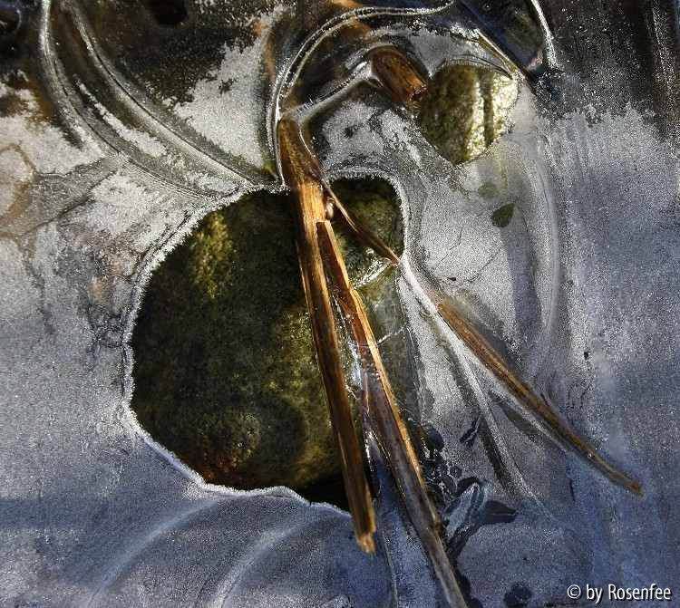 Eiszeit 1
