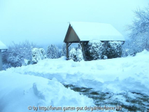 schnee 24_2_ 2013.JPG