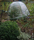 DSCN6499.JPG