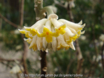 DSC01592.jpg