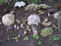 19.April